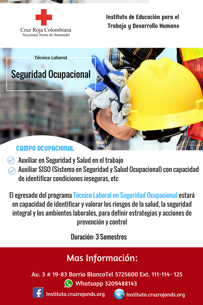 Seguridad Ocupacional